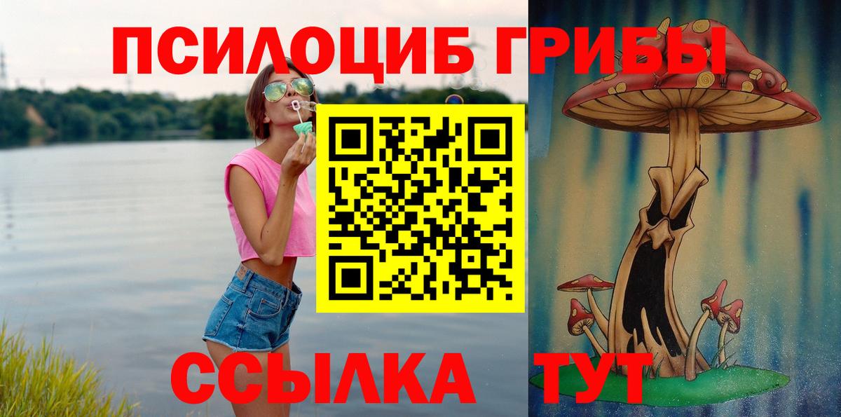 Энгельс  Галлюциногенные грибы ЛСД  Вход с VPN 